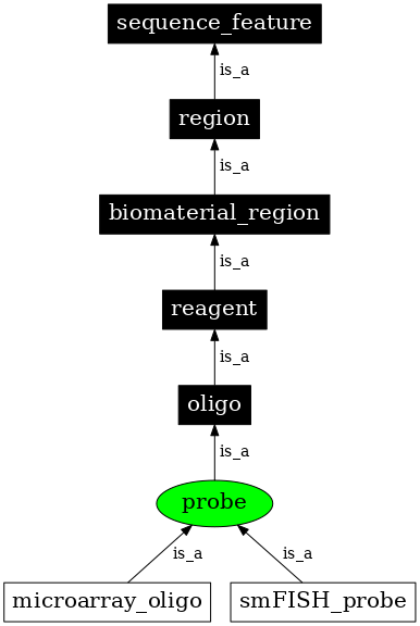 Graph image for SO:0000051