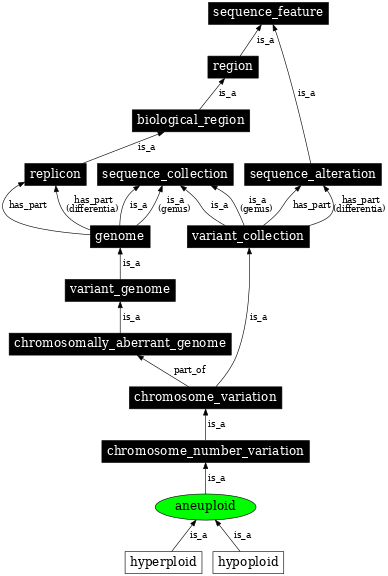 Graph image for SO:0000054