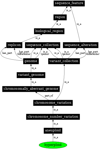 Graph image for SO:0000055