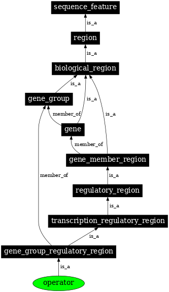 Graph image for SO:0000057