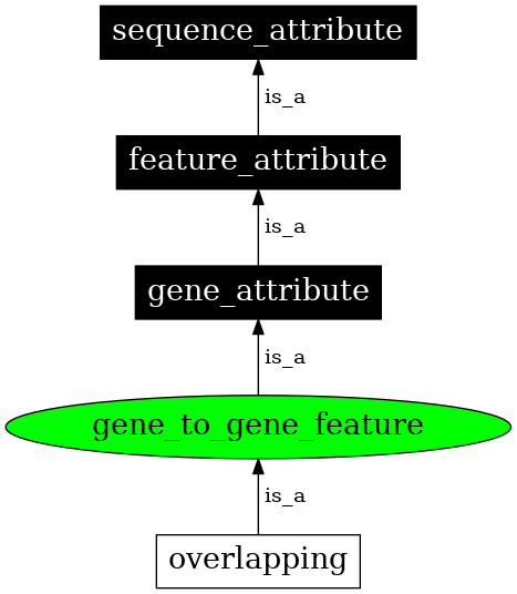 Graph image for SO:0000067