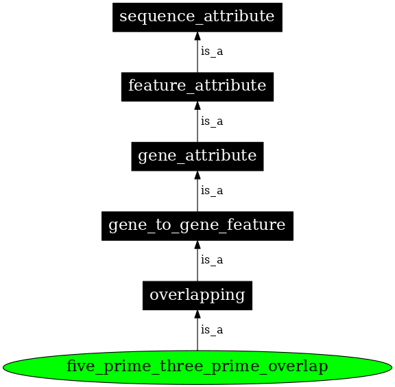 Graph image for SO:0000073