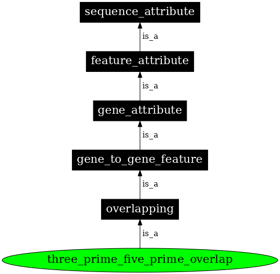 Graph image for SO:0000076