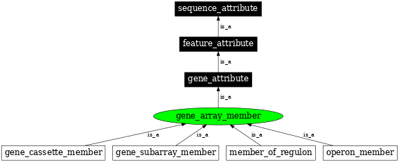 Graph image for SO:0000081