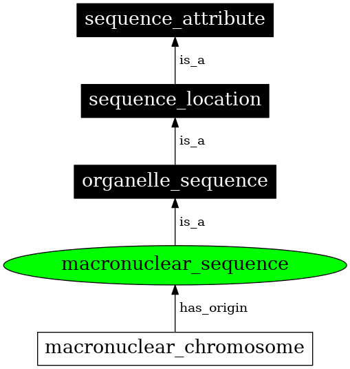 Graph image for SO:0000083