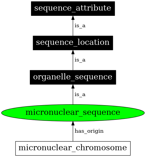 Graph image for SO:0000084