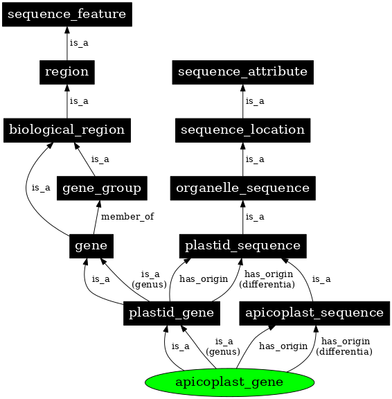 Graph image for SO:0000091