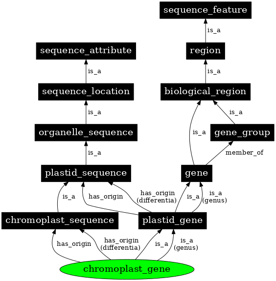 Graph image for SO:0000093