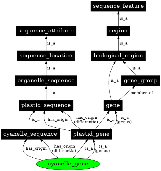 Graph image for SO:0000094