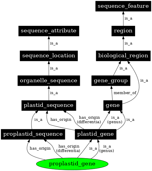 Graph image for SO:0000096