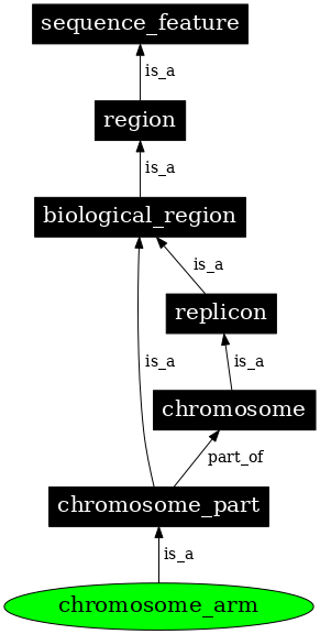 Graph image for SO:0000105