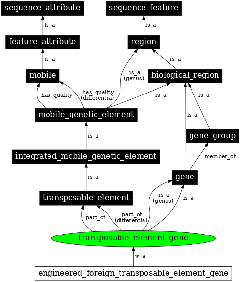 Graph image for SO:0000111