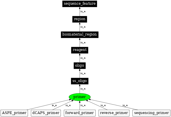 Graph image for SO:0000112