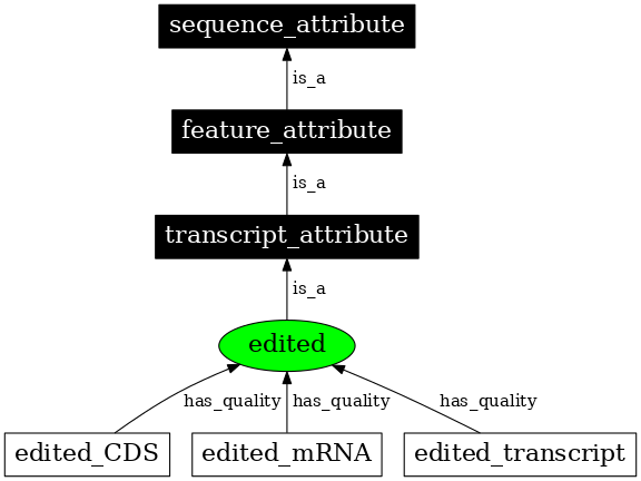 Graph image for SO:0000116