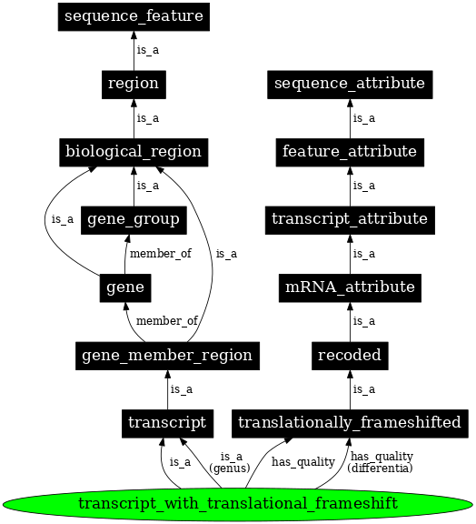 Graph image for SO:0000118