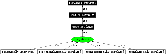 Graph image for SO:0000119