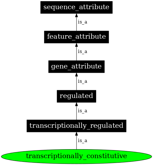 Graph image for SO:0000124