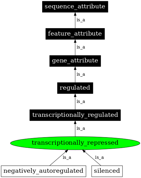 Graph image for SO:0000126