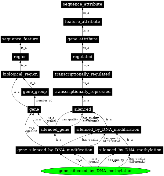 Graph image for SO:0000129