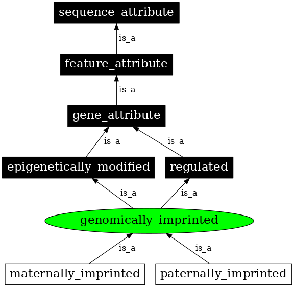 Graph image for SO:0000134