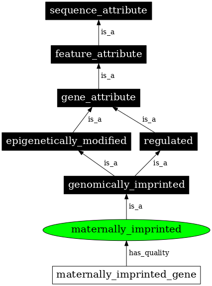 Graph image for SO:0000135