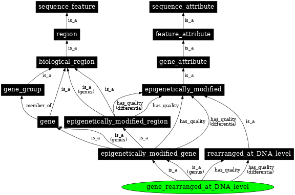 Graph image for SO:0000138