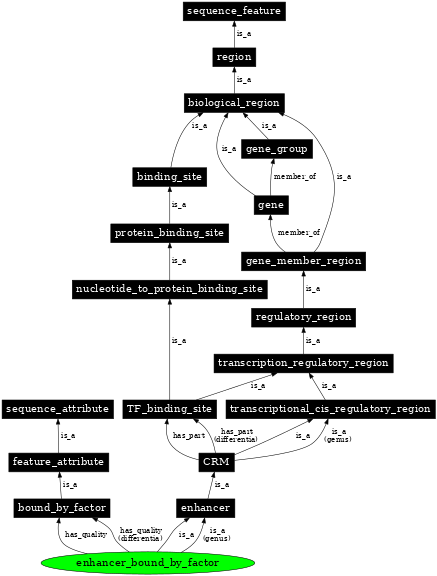 Graph image for SO:0000166