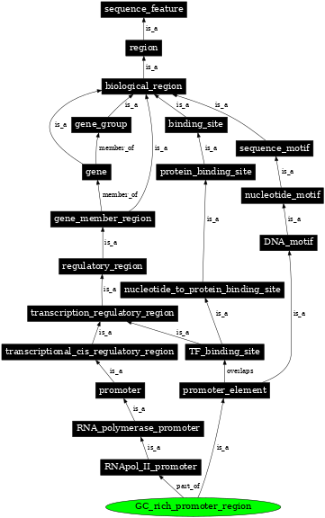 Graph image for SO:0000173