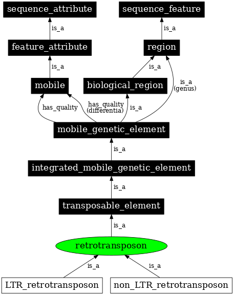 Graph image for SO:0000180