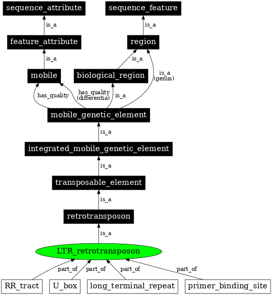 Graph image for SO:0000186