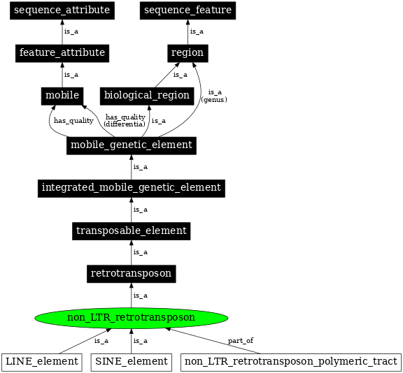 Graph image for SO:0000189