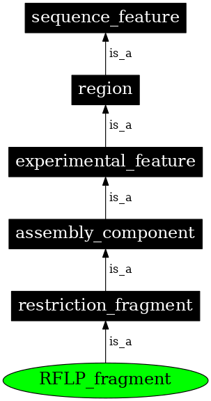 Graph image for SO:0000193