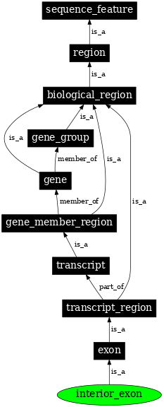 Graph image for SO:0000201