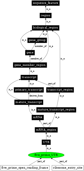 Graph image for SO:0000204