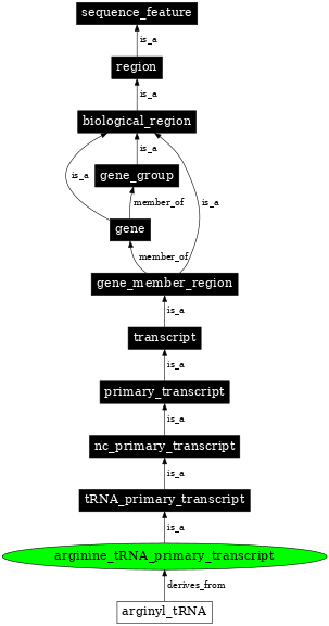 Graph image for SO:0000212