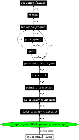 Graph image for SO:0000213