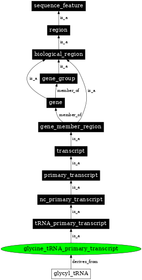 Graph image for SO:0000218