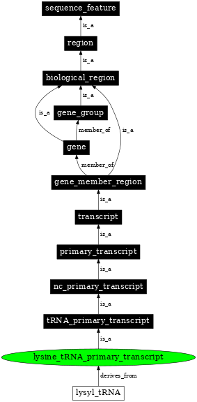 Graph image for SO:0000222