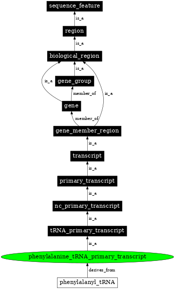 Graph image for SO:0000224