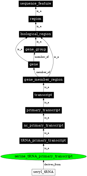 Graph image for SO:0000226