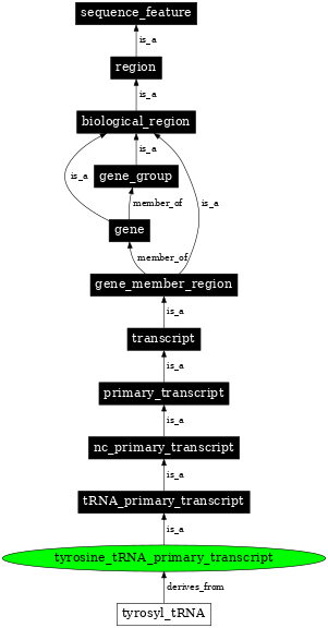 Graph image for SO:0000229