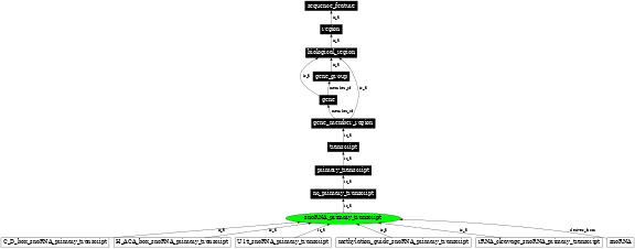 Graph image for SO:0000232