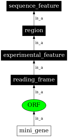 Graph image for SO:0000236