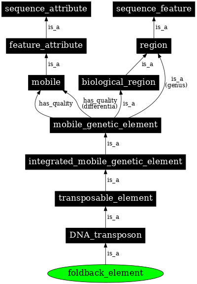 Graph image for SO:0000238