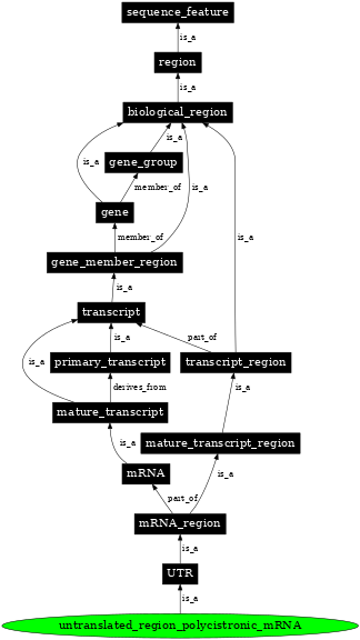 Graph image for SO:0000242