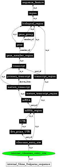 Graph image for SO:0000243