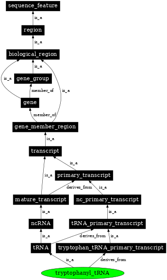 Graph image for SO:0000271