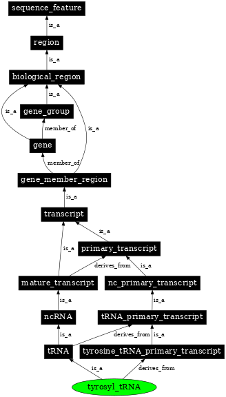 Graph image for SO:0000272