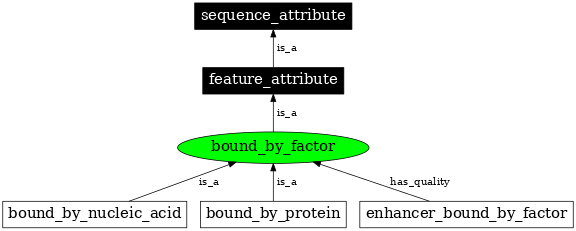 Graph image for SO:0000277