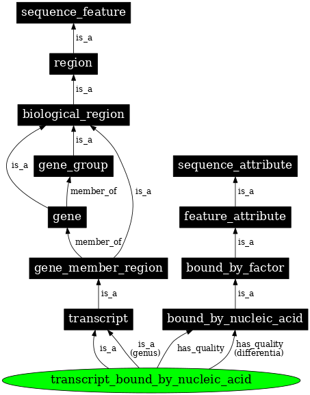 Graph image for SO:0000278